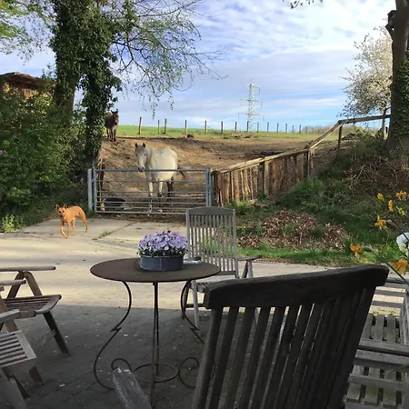 Zuid-limburg Gospodarstwo wiejskie Nuth