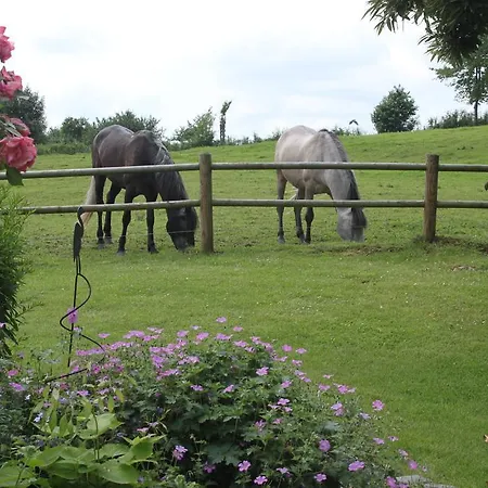 Gospodarstwo wiejskie Zuid-limburg Nuth