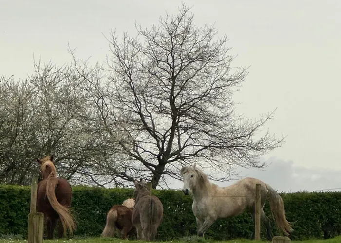 Countryhouse Zuid-limburg *
