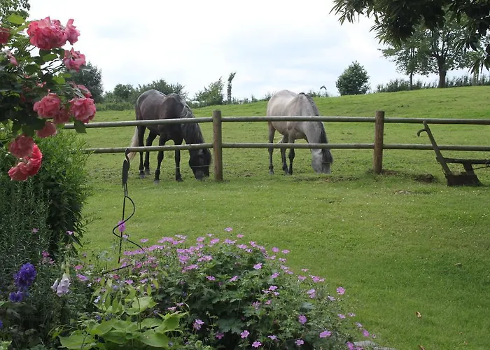 Летний дом Zuid-limburg Nuth